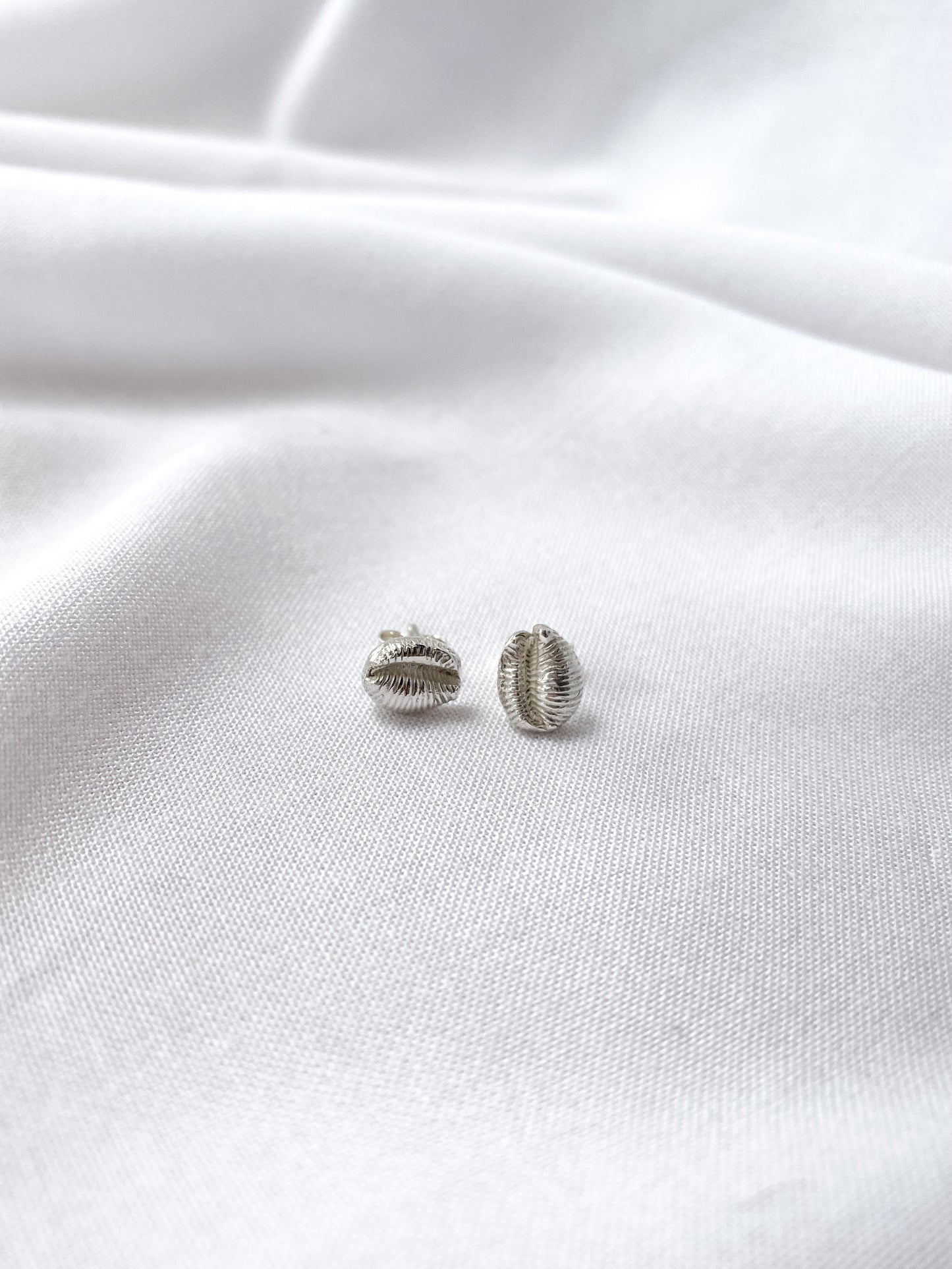 Cowrie Shell Studs