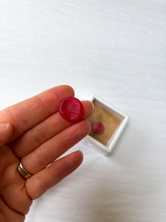 Fingerprint / Dog nose or paw print Jewellery Kit
